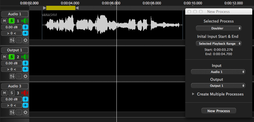 Doubler - Selected Playback Range