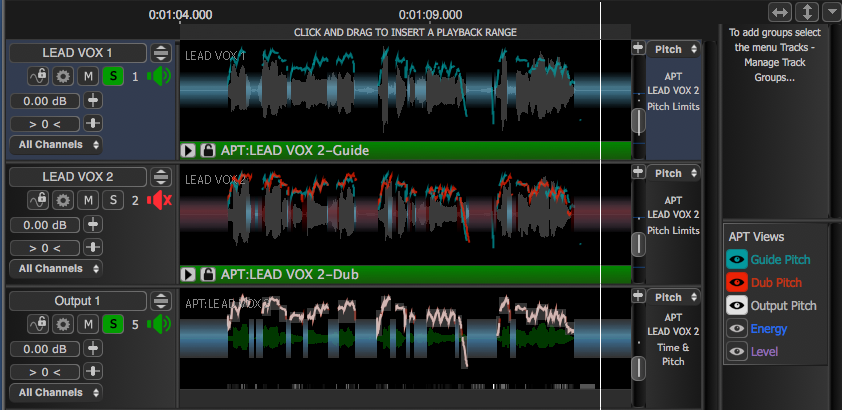 APT View Guide Dub and Output